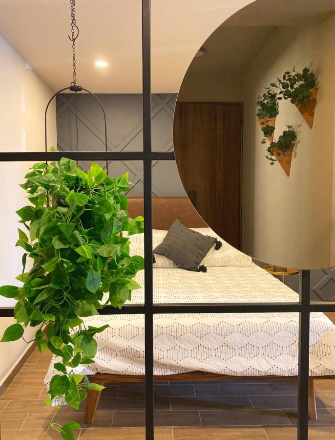 Apartmán Layoo, Tu Casa En Oaxaca 101 Exteriér fotografie